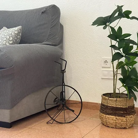 Jardines De La Magdalena