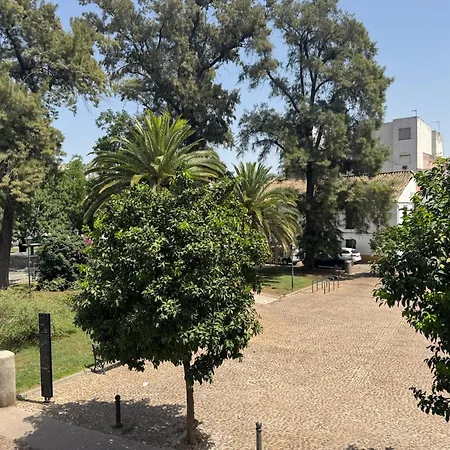 Jardines De La Magdalena