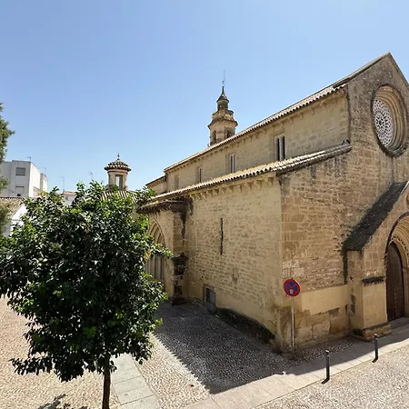 Jardines De La Magdalena Cordoba